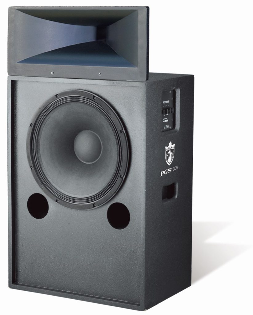 Standard Cinema Main Speaker Cabinet — FC215AII